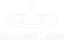 Auxein logo