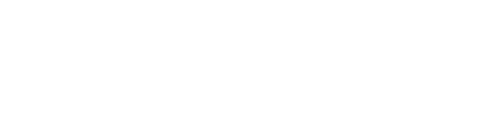 Demoflick logo